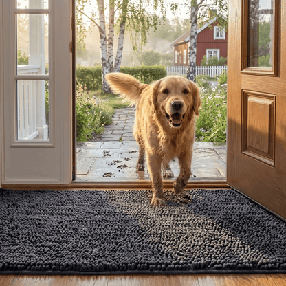PawDry dörrmatta i hallen