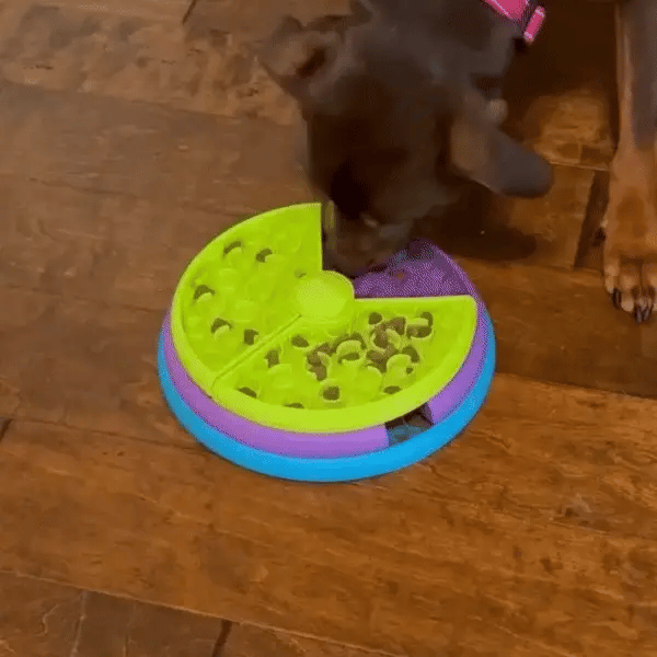 Hund äter ur SlowBite antihafsskål, animation