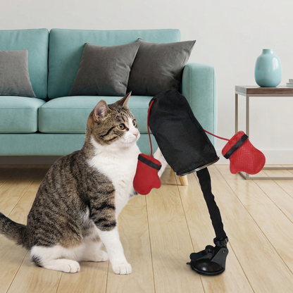 Katt slår på PawPunch vid soffan